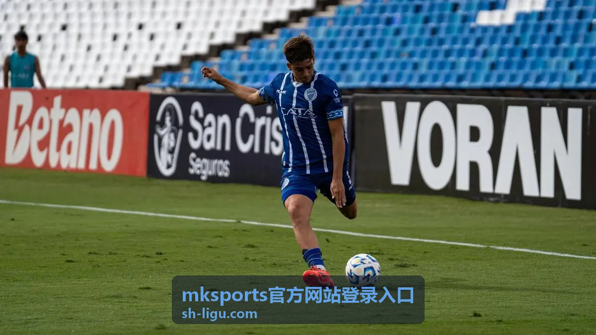 mksports官方网站登录入口登录前准备事项核对示意