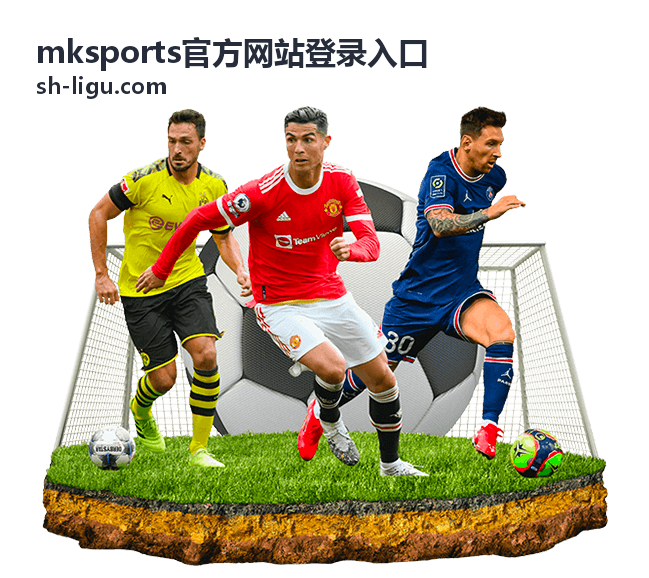 mksports官方网站登录入口账号安全验证说明配图