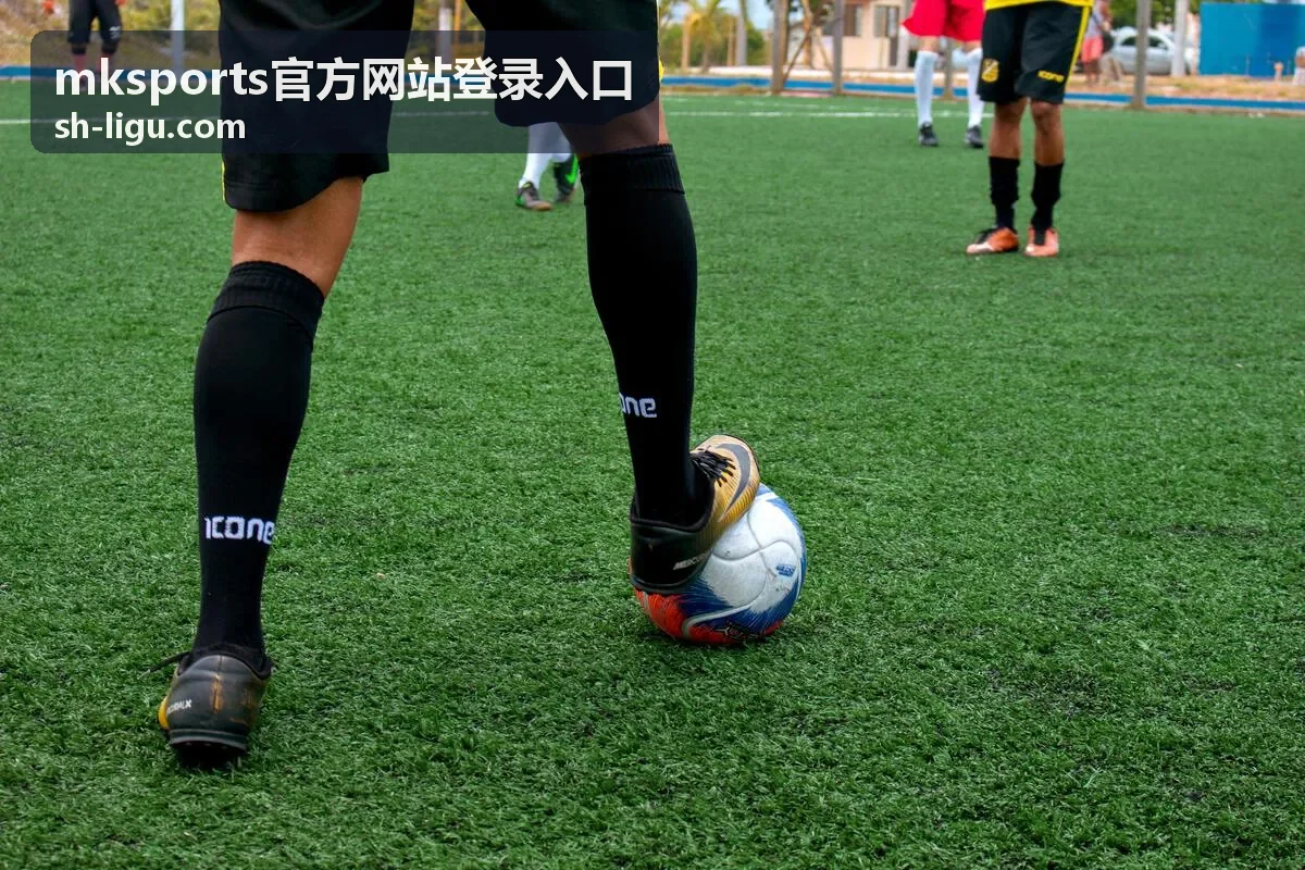 mksports官方网站登录入口安全核对流程展示