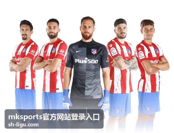 mksports官方网站登录入口验证失败自助排查